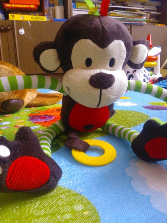 Мой отзыв о чудесной игрушке. Много фото!