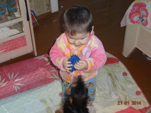 а моя крошка нашла себе новую игру