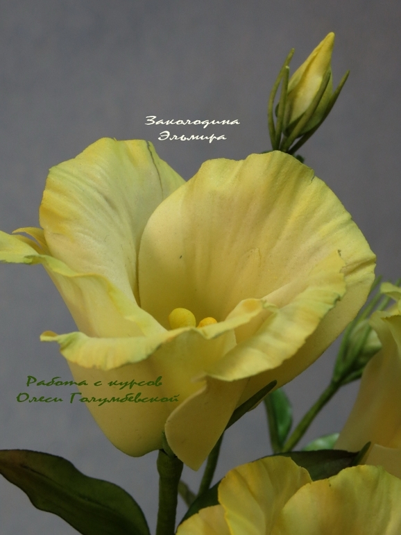 Мои цветочки с Курсов Олеси Голумбевской.