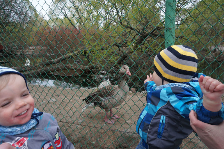 Посетили Зоопарк