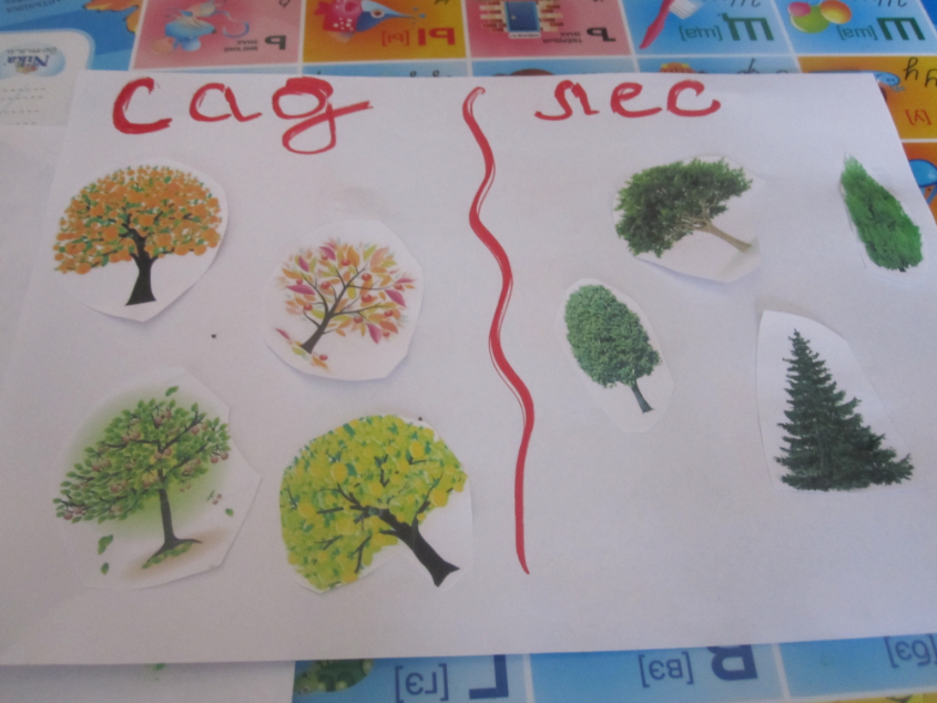 ТН "Деревья"