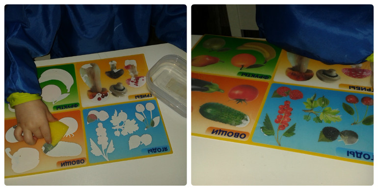 ТН Овощи - День 4