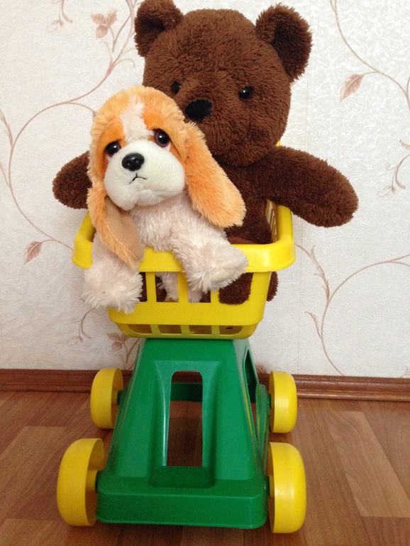 Наши фавориты!