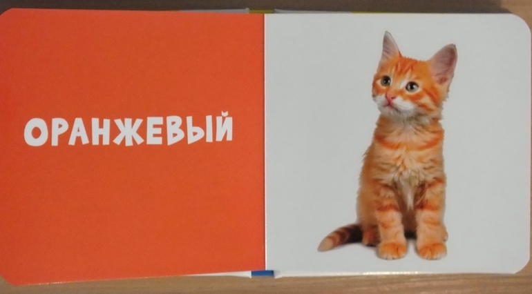 Фото-книги от Клевера