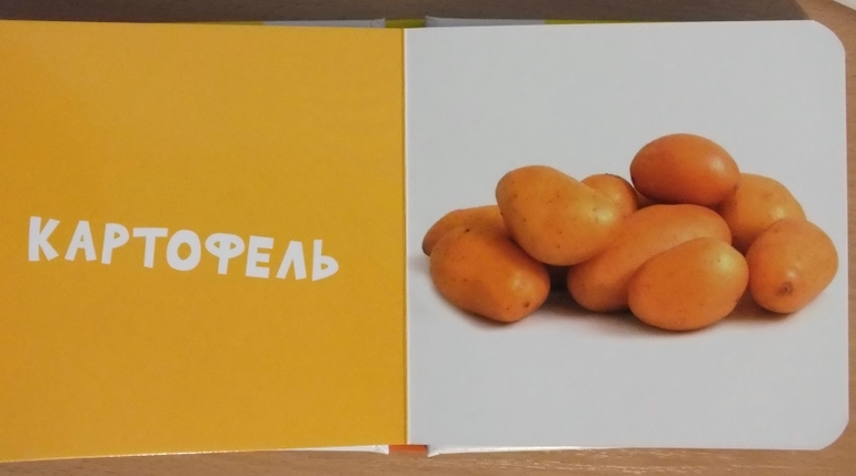 Фото-книги от Клевера