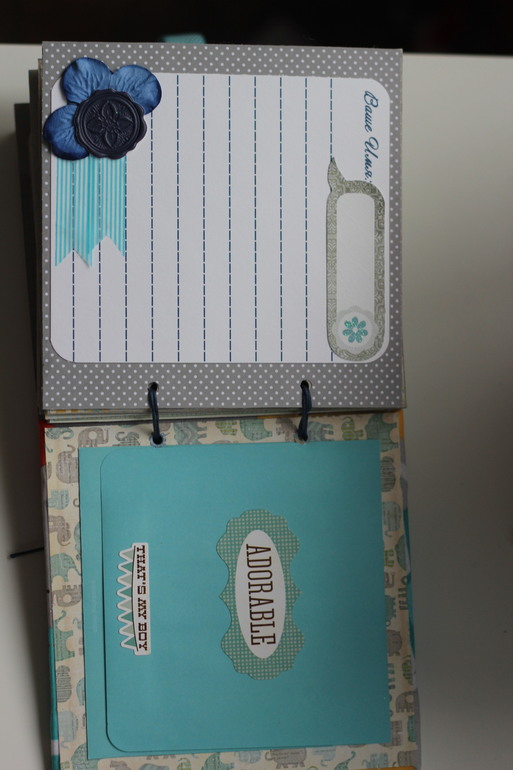 Книга пожеланий для Сашули!