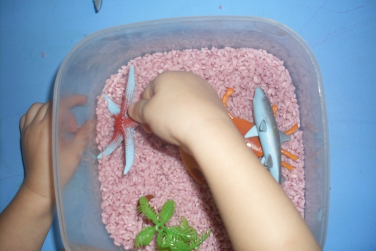 Наш досуг!!!!!! Морские приключения!