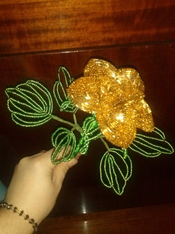 Роза в дом))