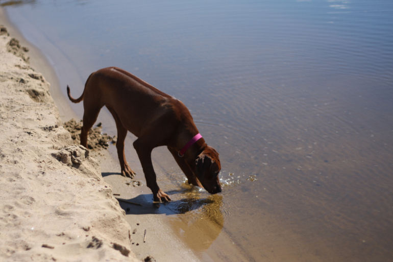 а мы купались