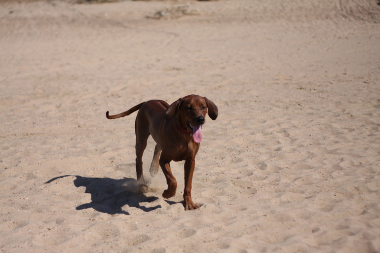 а мы купались