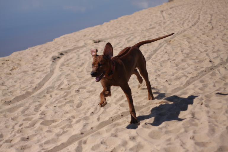 а мы купались