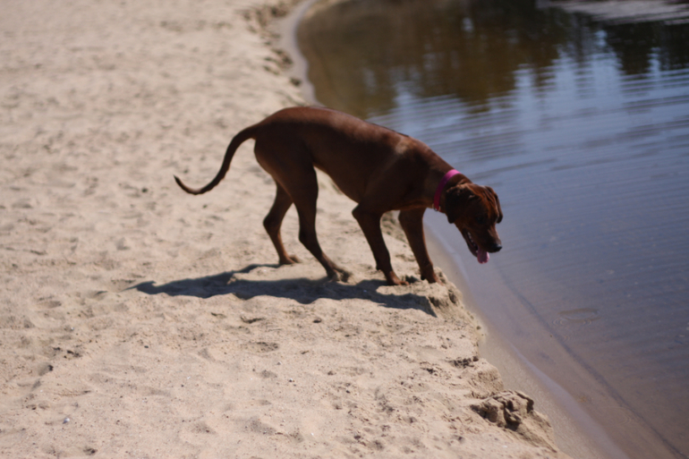 а мы купались
