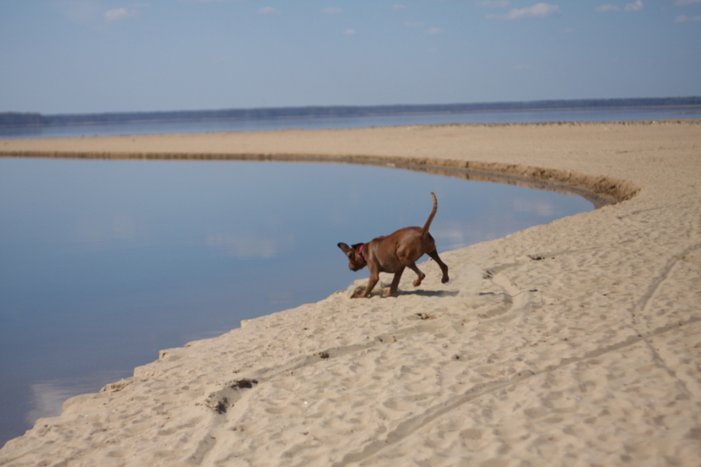 а мы купались