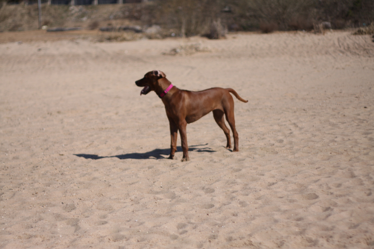а мы купались