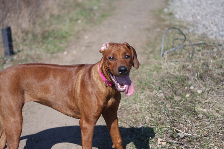 а мы купались