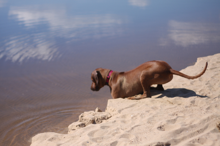 а мы купались
