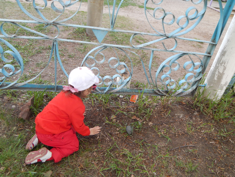 Прогулочный вечер