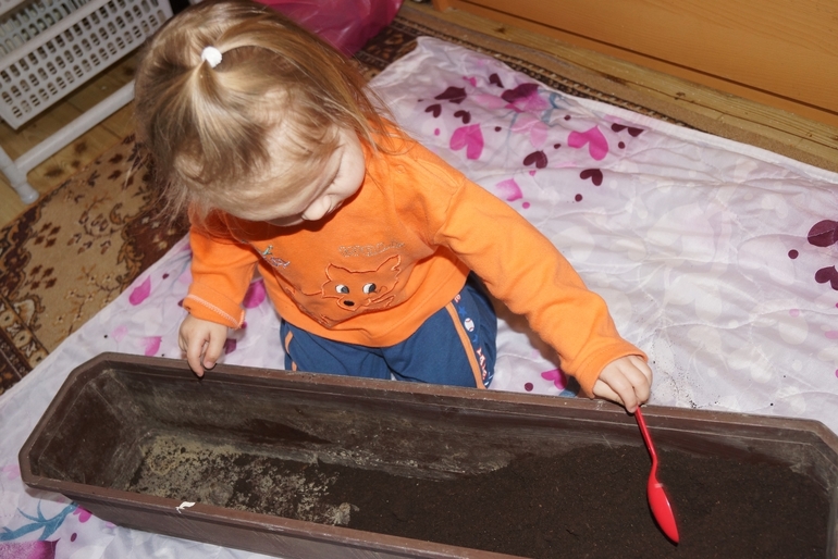 1-й день ФМ "Овощи"