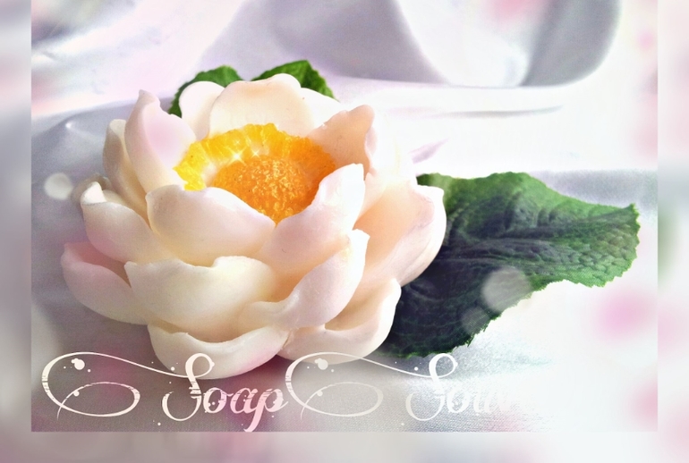 Формы мечты!)) Весна,цветы!