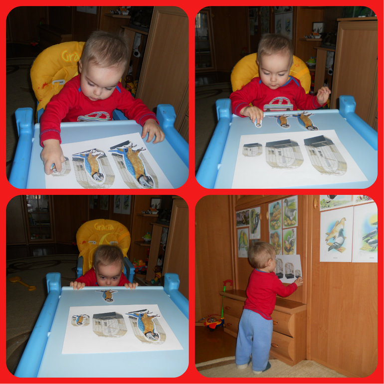 Деньки сов, дятлов и попугаев)))