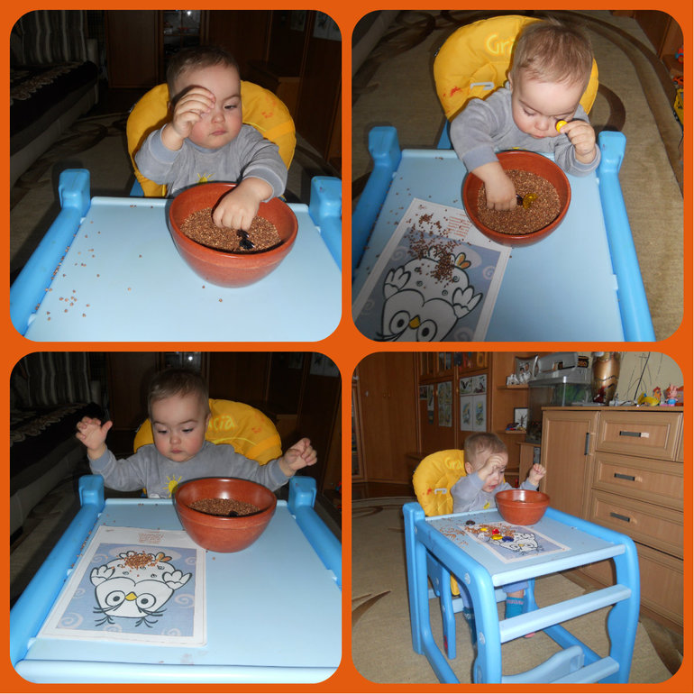 Деньки сов, дятлов и попугаев)))