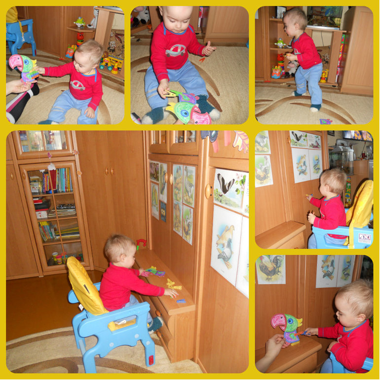 Деньки сов, дятлов и попугаев)))