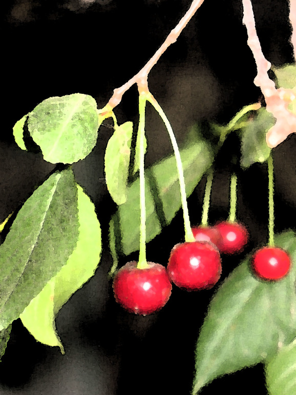 Контрольное задание № 37. Легкий эффект акварели