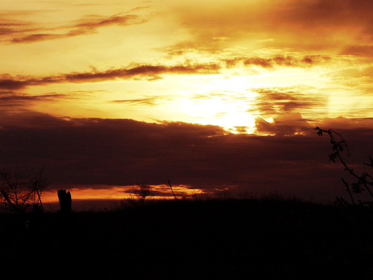 Контрольное задание № 18. Карта градиента