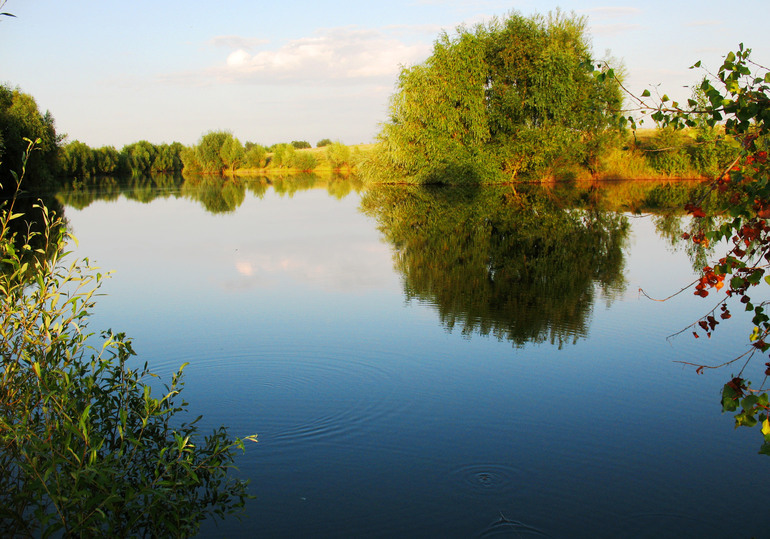 Контрольное задание № 39. Загибаем картинку