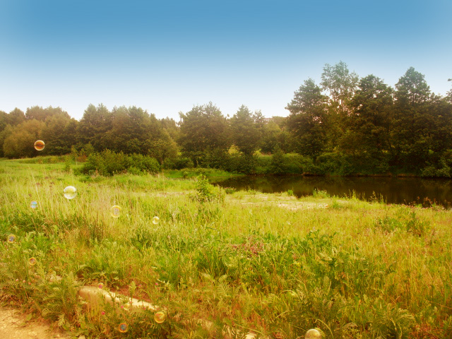 Контрольное задание № 31. Придание цветности изображению