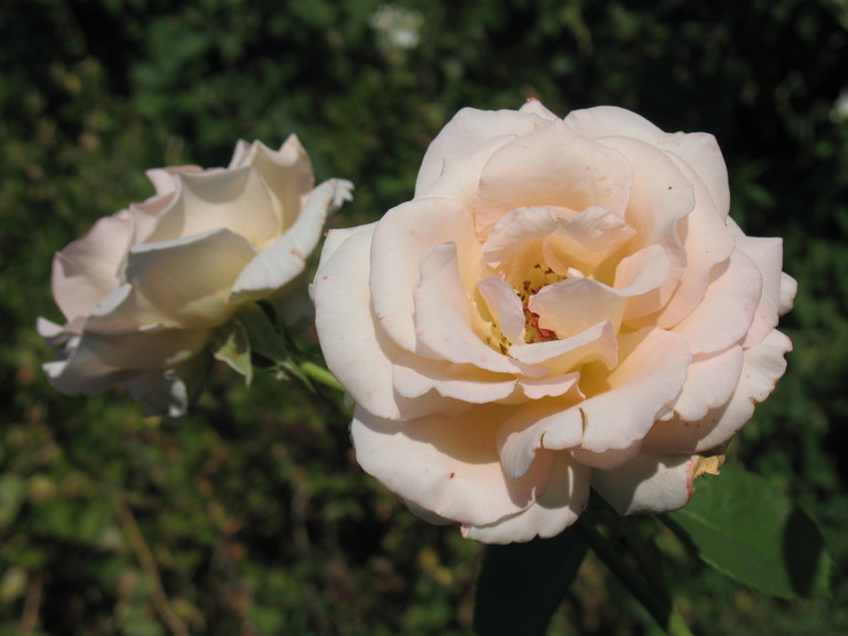 Контрольное задание № 34. Светящееся фото