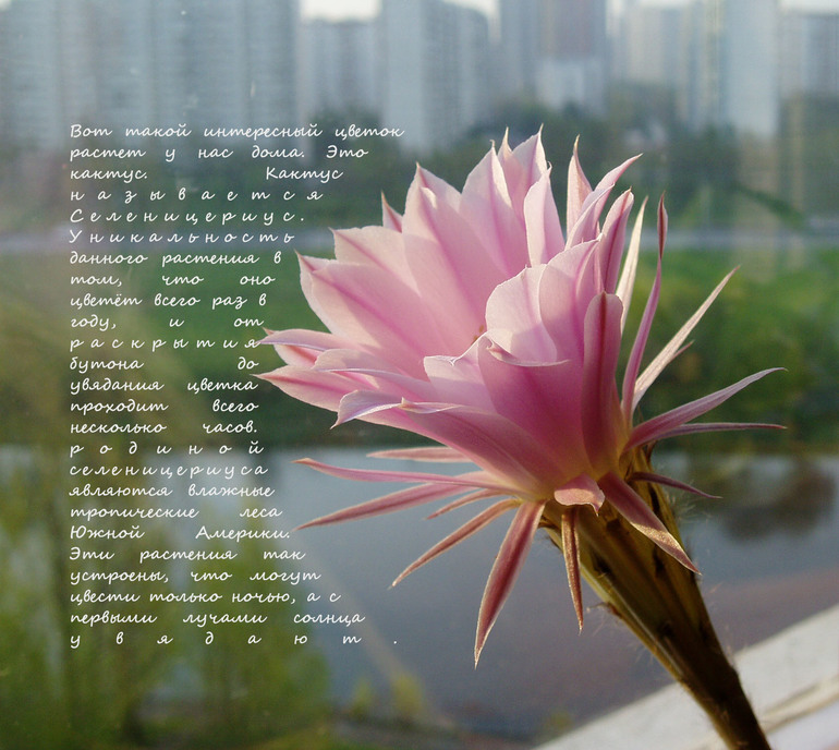 Контрольное задание № 15. "Территория текст"