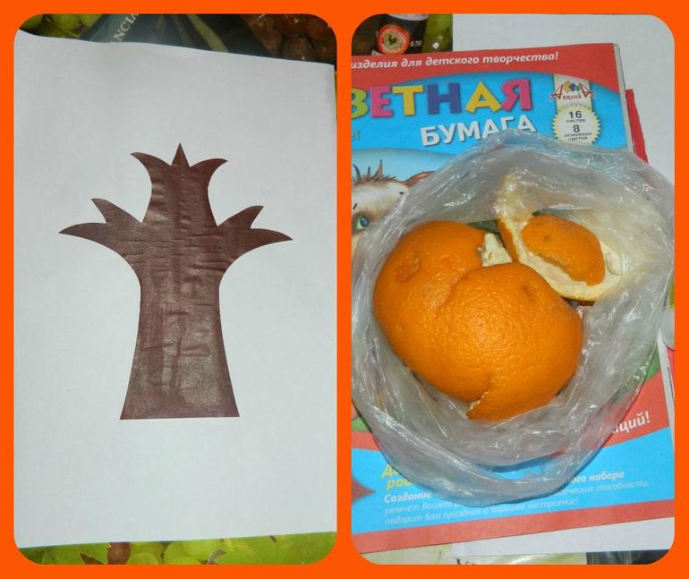 ТН Дерево в разное время года.