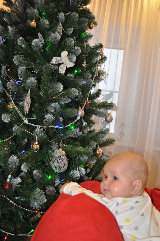 Рождественские каникулы, как их провели мы)))