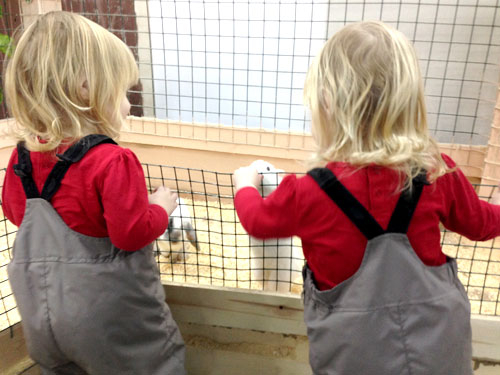 О том, как мы тискали зверюшек