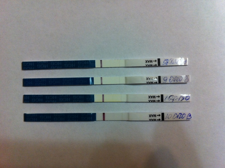 тестомания вперед! ))))