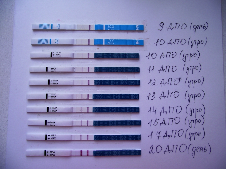 Тестомания)