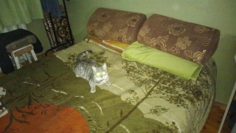 Взлет 69/29 исправленный