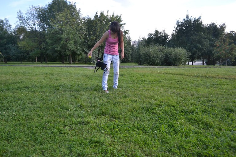 Мои тойчики :)