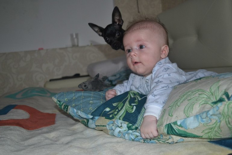 Мои тойчики :)