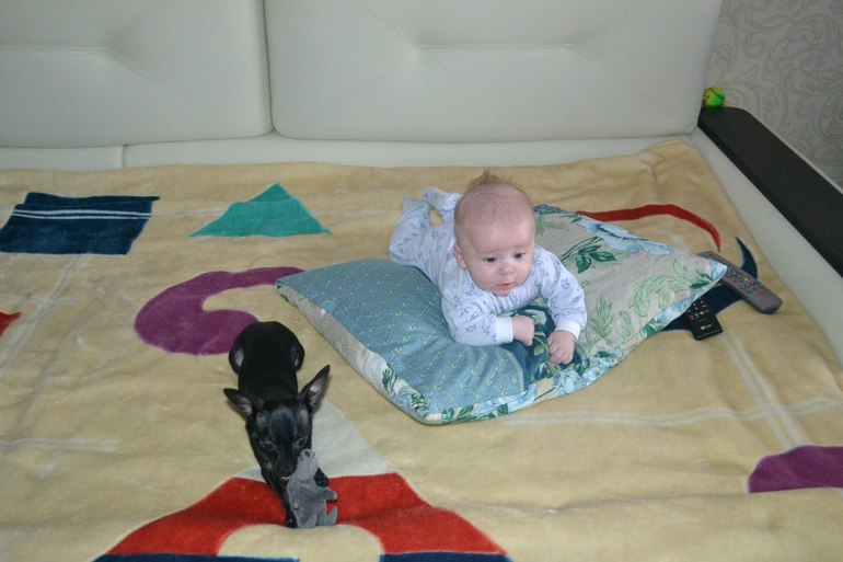 Мои тойчики :)