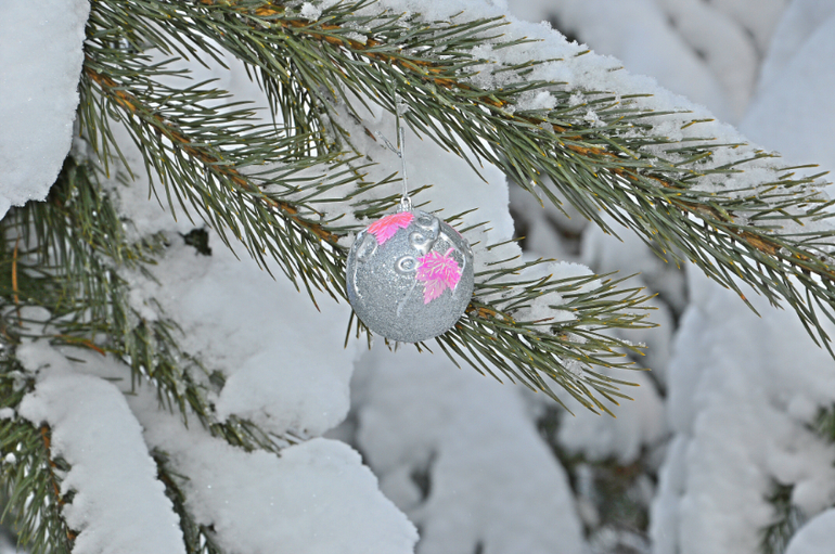 Зимняя сказка  !!! Наша прогулка!!