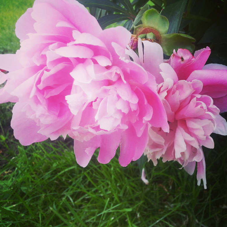 Удачные выходные