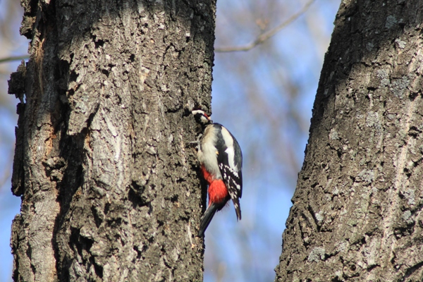 Когда у папы выходной, а на улице хорошая погода)
