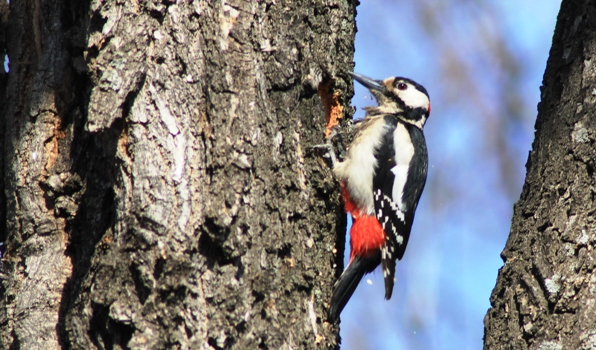 Когда у папы выходной, а на улице хорошая погода)