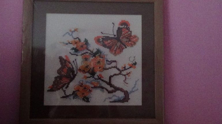 мои бабочки
