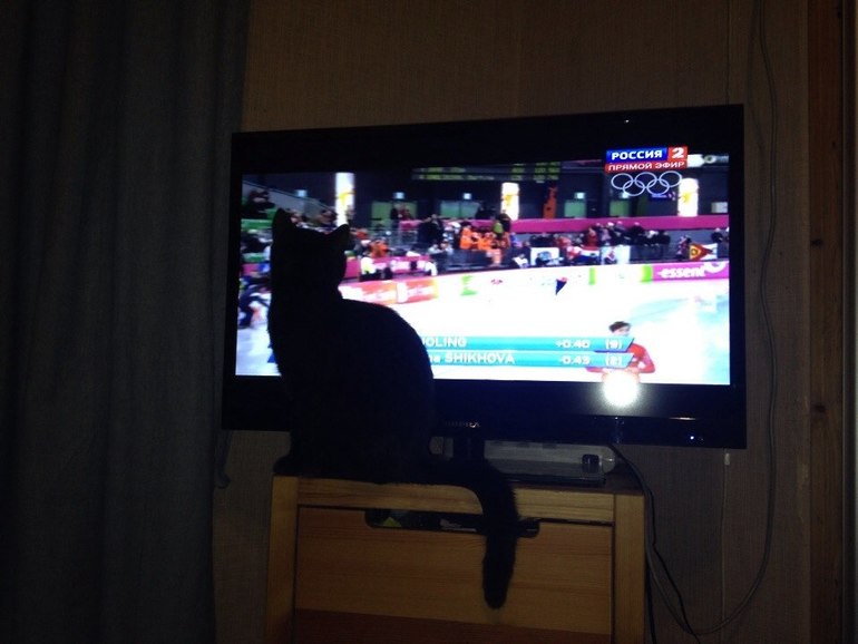 Мы сделали это!