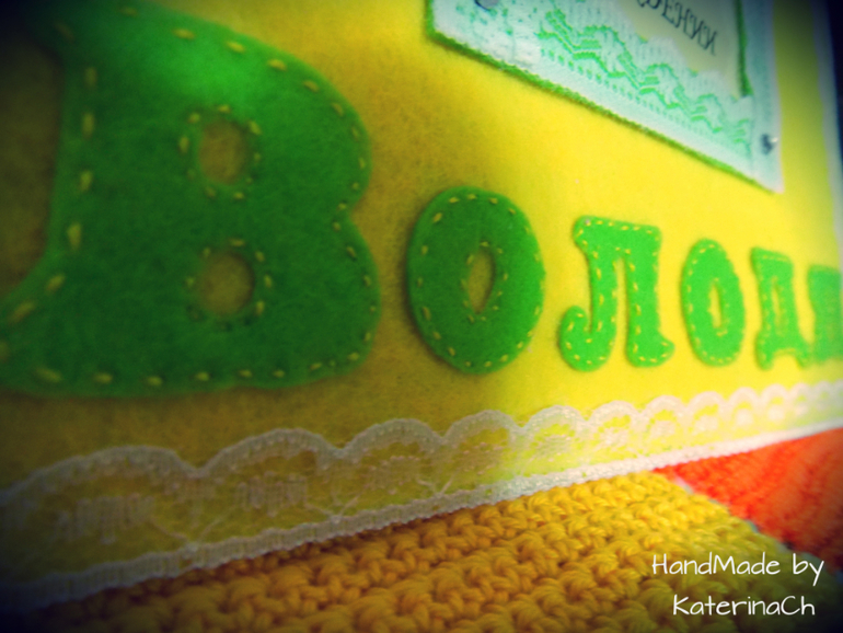 Обложка на Свидетельство о рождении из фетра №3