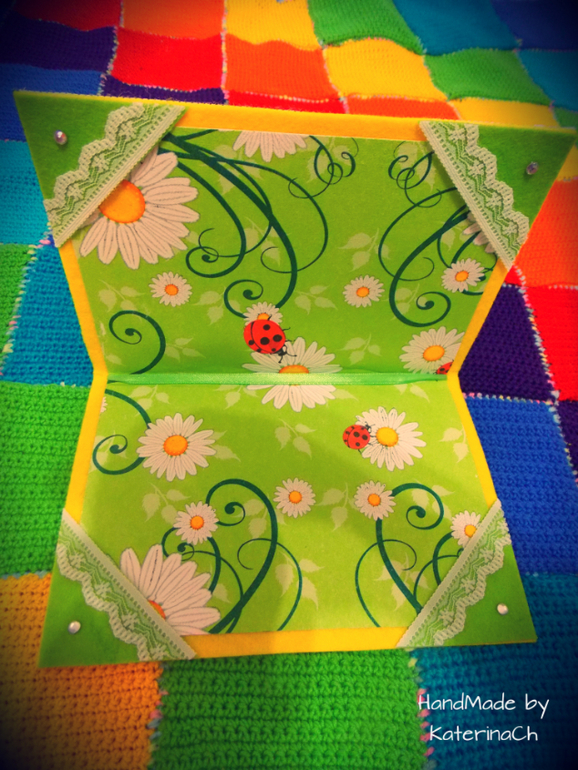 ФЕТРО - Обложка для свидетельства о рождении №2