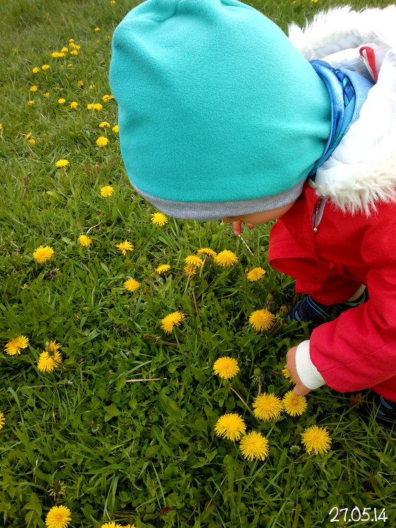 ФотоДневник. 27 мая 2014